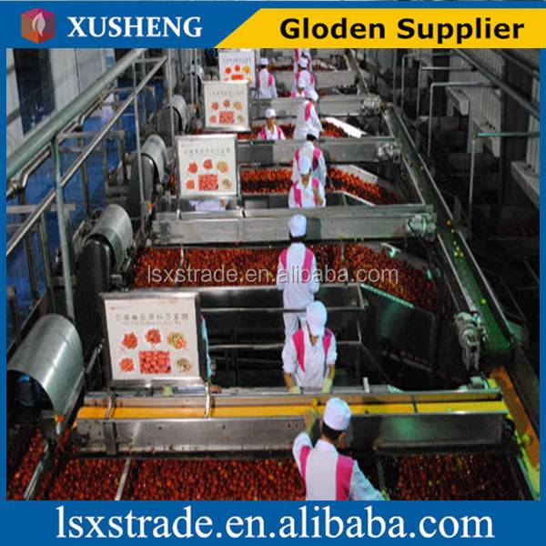 tomato paste manufacturers usa(B),China XUSHENG price supplier 21food