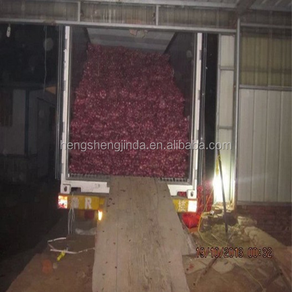 cheap and good quality onion