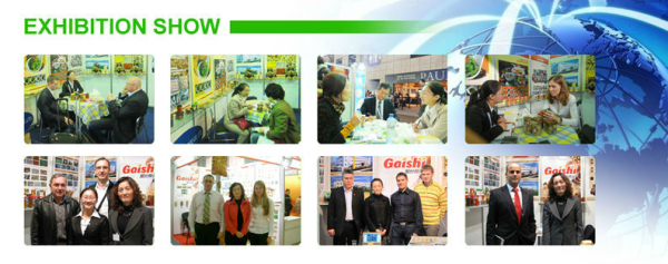 exihibition show