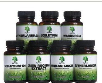 Herbal Medicines Sceletium Buy Herbal Medicines Product On Alibaba