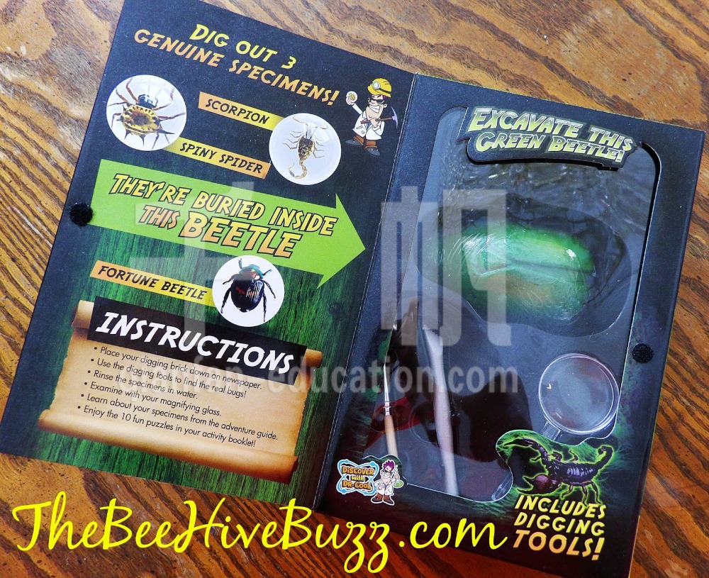 Real Bug Dig 3