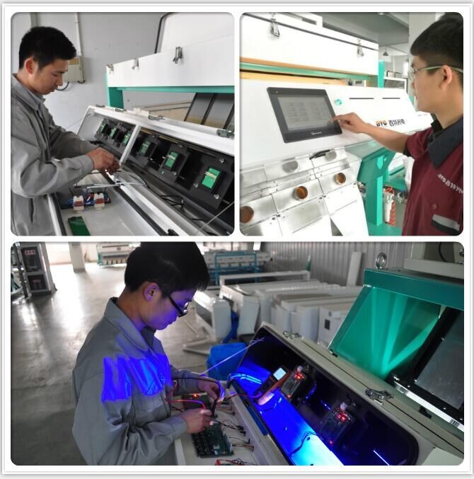 新しい条件剥がしニンニクソーター機で中国仕入れ・メーカー・工場