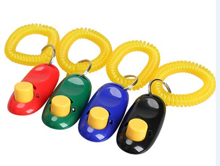 colorful dog training clicker