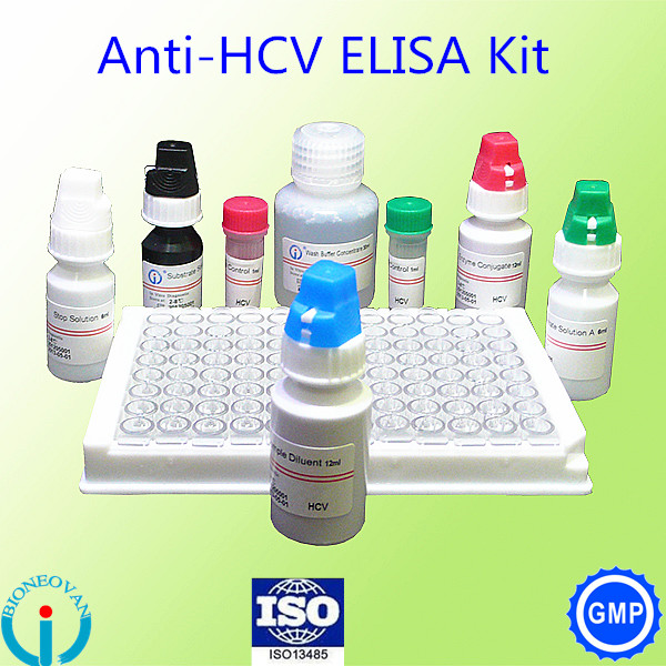 HCV.jpg