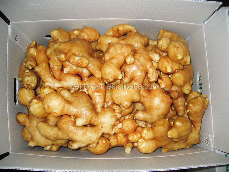 air dry ginger - best price from China