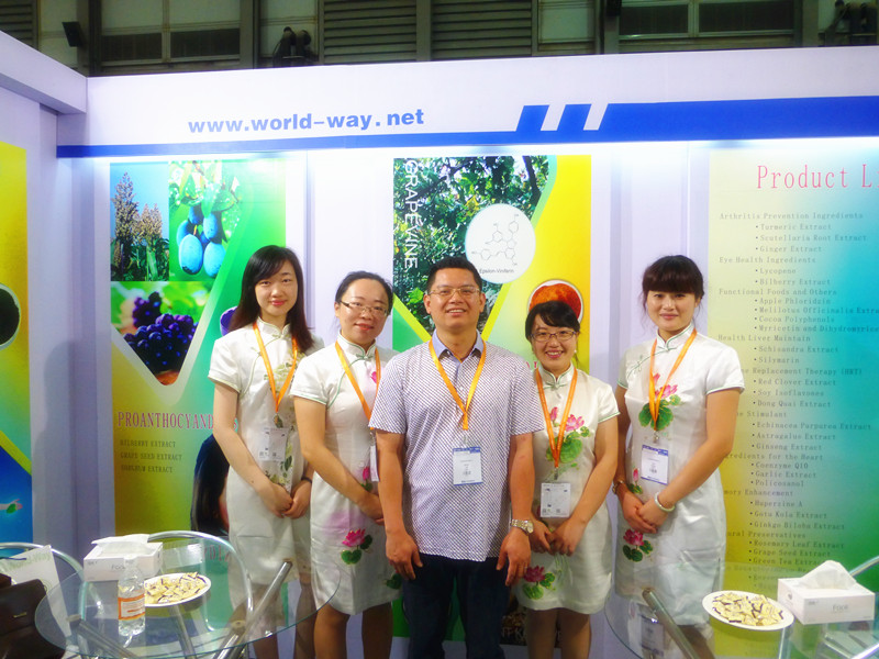 Ganoderma lucidum extract GMP HACCP certified facotry supply polysaccharide 10% Ganoderma lucidum extract