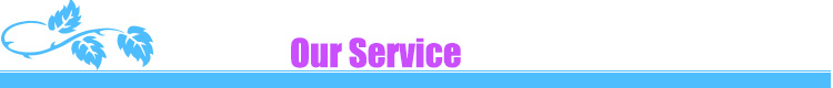 OUR service
