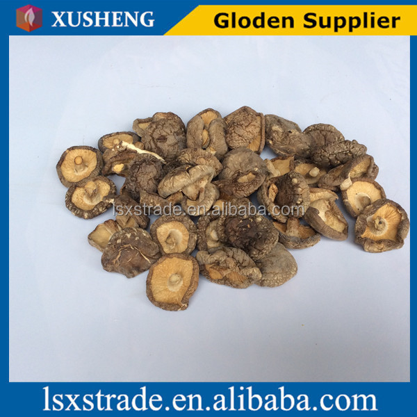 dried mushrooms (picked in winter)(B)