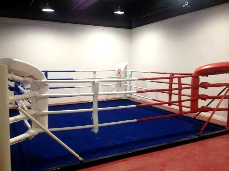 boxing ring (4)