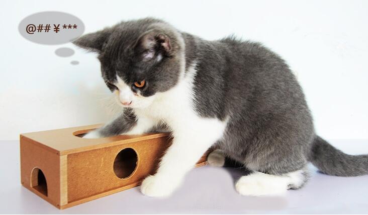 新しい木製の猫デザインオレンジ宝のおもちゃ箱/ペットの猫のおもちゃ仕入れ・メーカー・工場