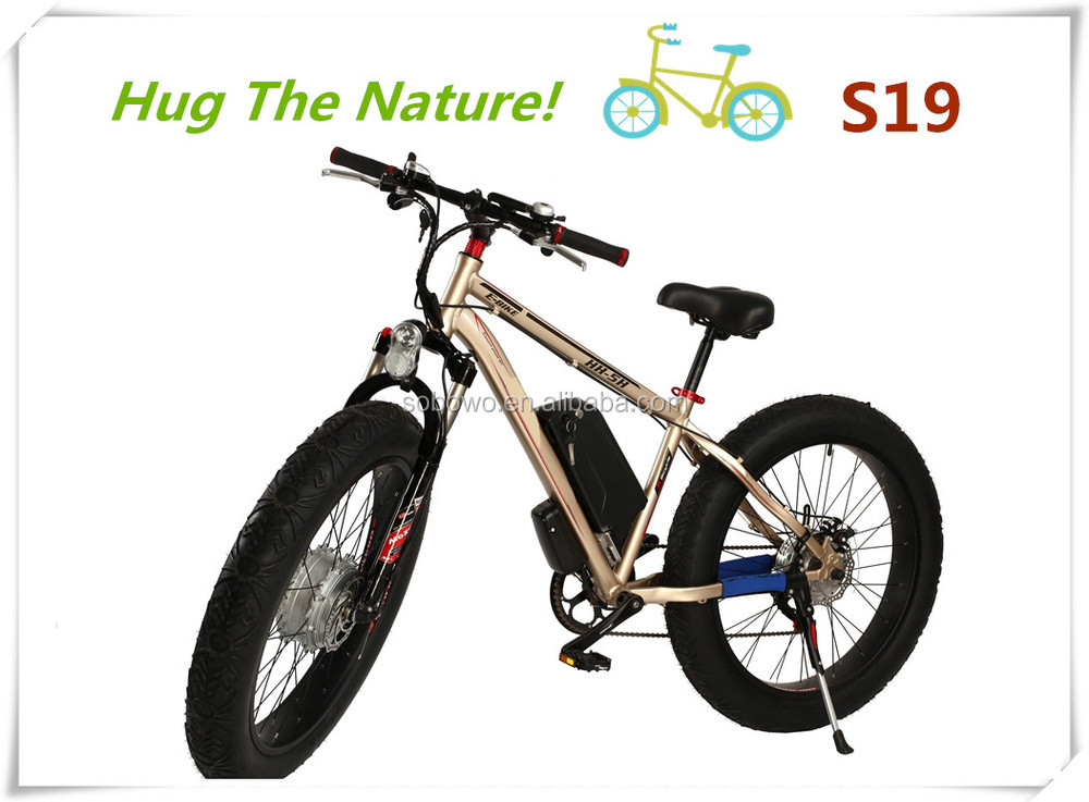 electric bicycle