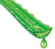 S-houssy- packed drinks aloe juice concentrate
