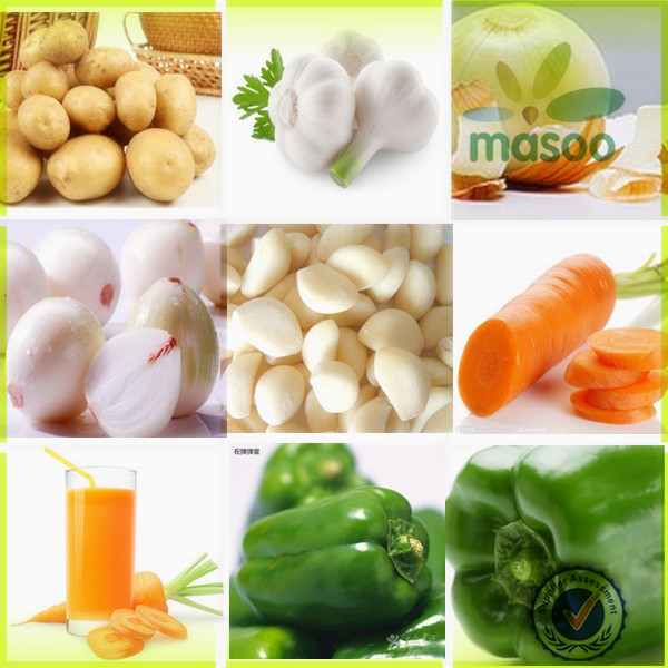 nutrientional china origin 2014 new fresh white onion