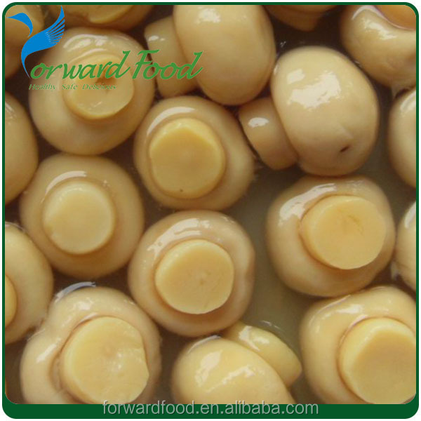 800g fresh white button mushroom in can in brine