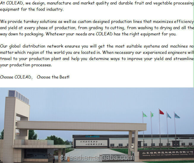 mushroom slicing machine/canned mushroom processing line /mushroom processing /washing