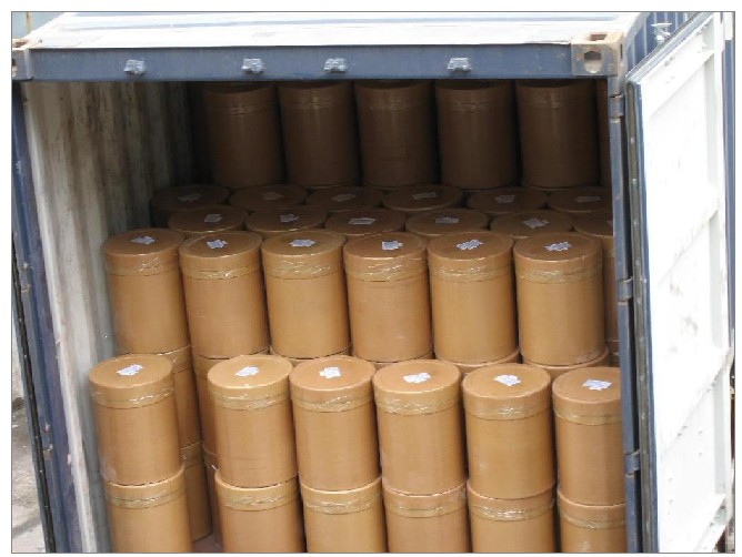 Export ganoderma lucidum canned button mushroom to kazakhstan