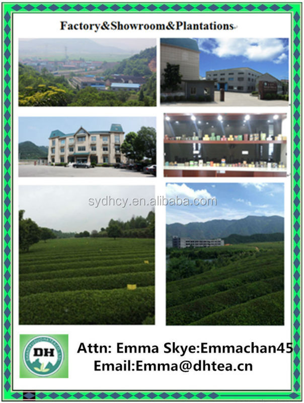 china fine extra chunmee green tea 4011 dr tea for African market,China