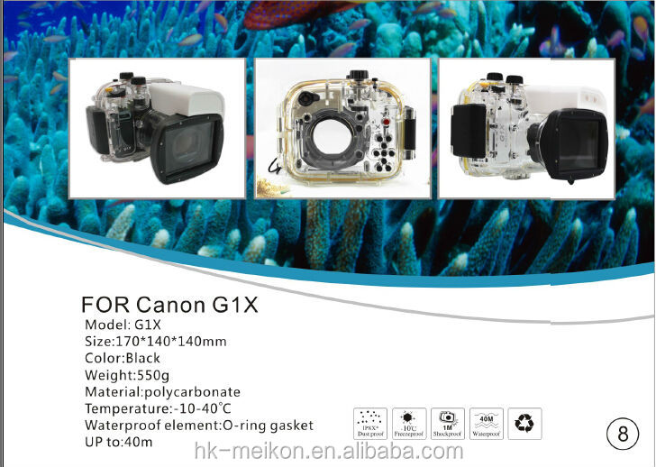 Canon G1X.jpg