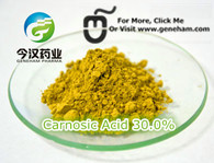 Rosemary Extract Ursolic Acid