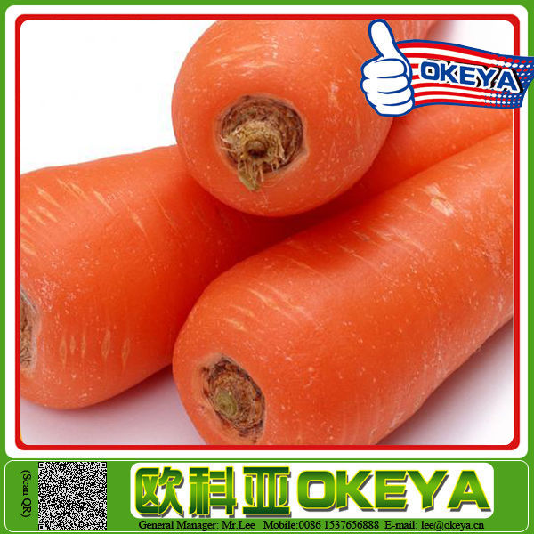 Original Okeye New Arrival carrot juice making