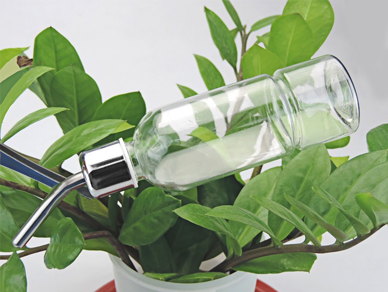rabbit drinking bottle