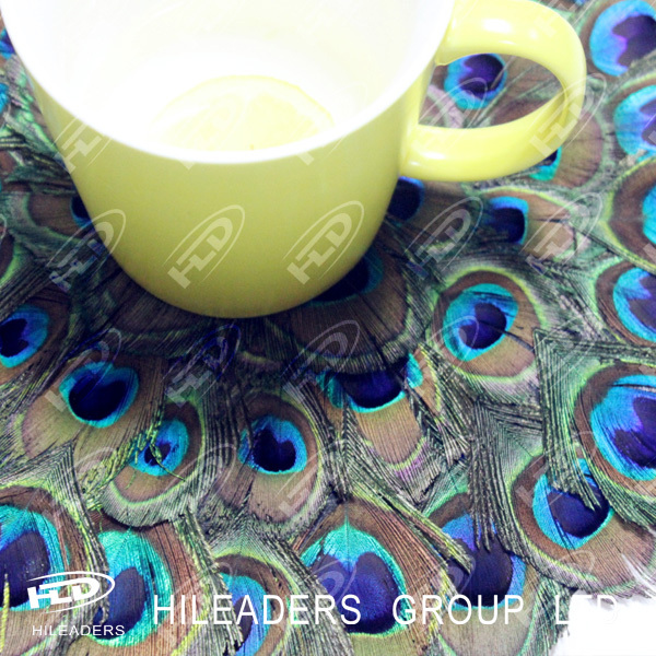 feather pad (20)