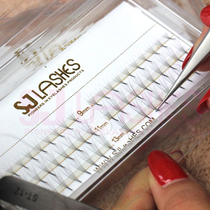 Pre-Fanned Volume Lashes #FDS05C.B.jpg
