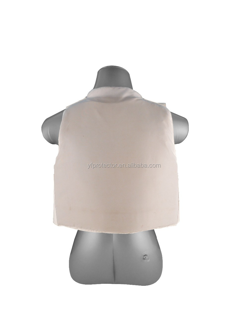 BV002-BACK.jpg