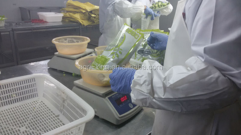 2014 new high quality frozen broccoli & iqf broccoli price