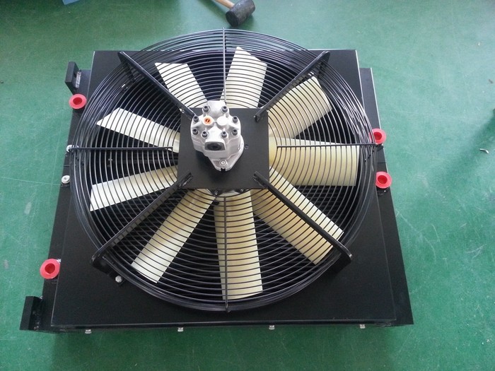 content20130306_162138.jpg
