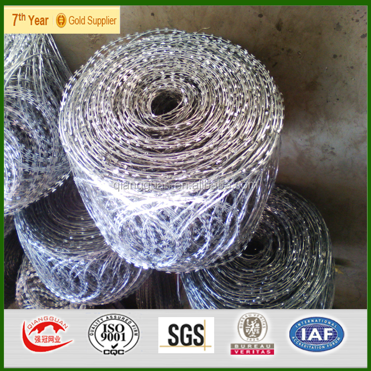 razor wire1001.jpg