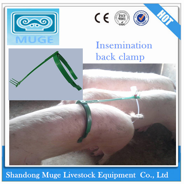 Comprehensive Pig Farm Equipment