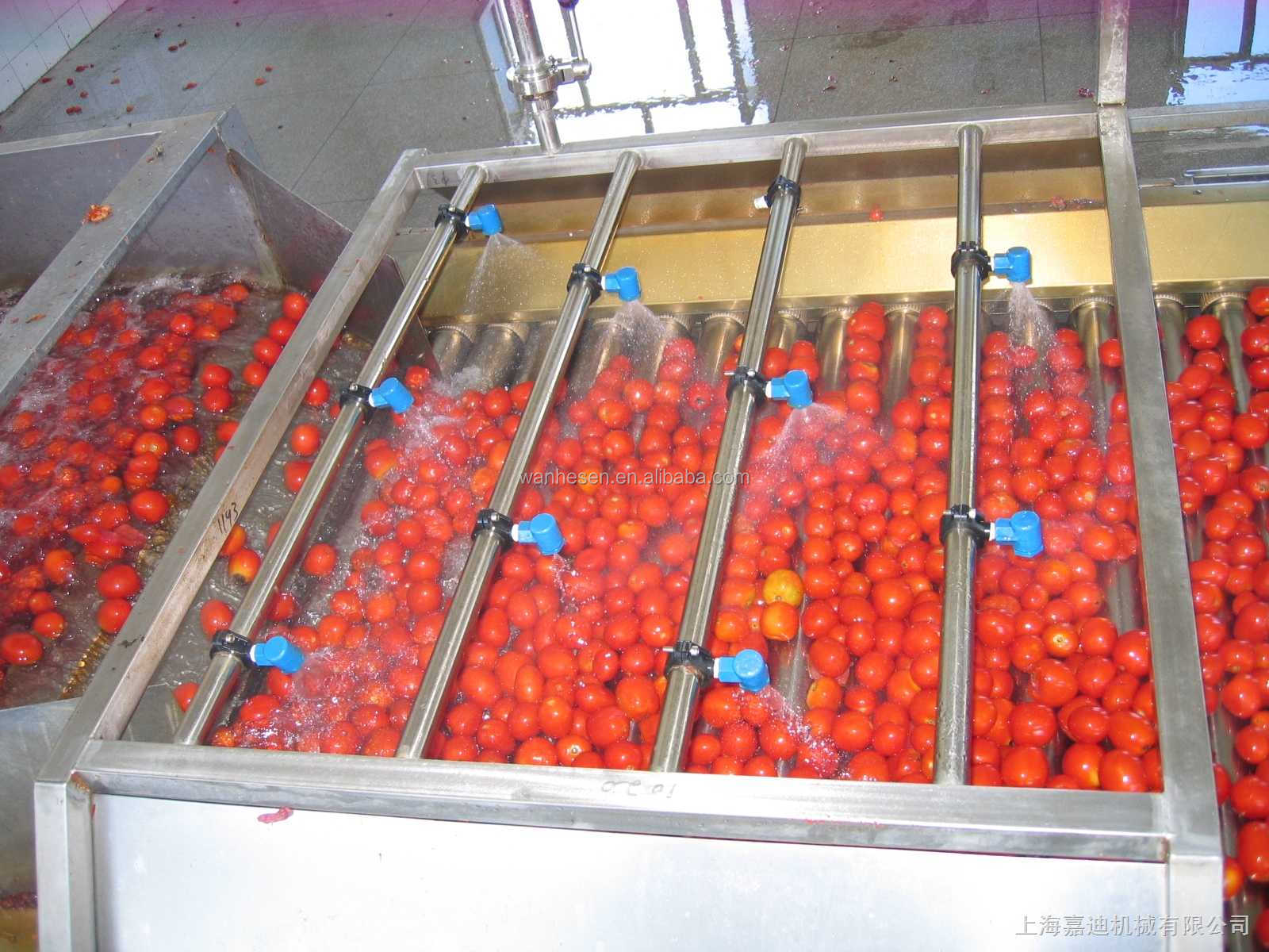 HACCP certified tomato paste company