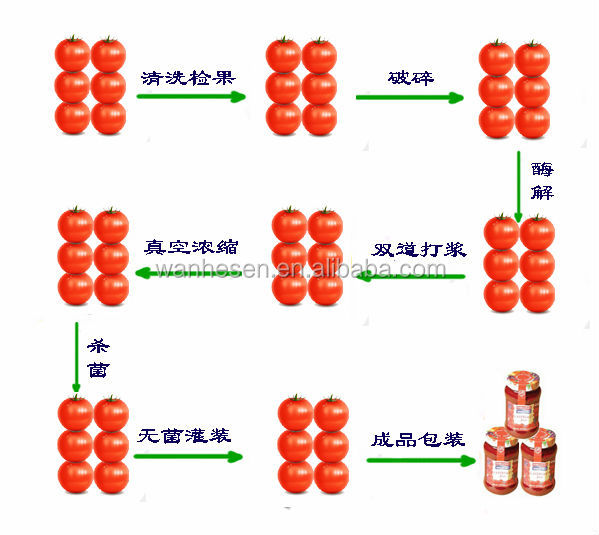 kosher food companies 800g canned tomato sauce supplier in china with good quality