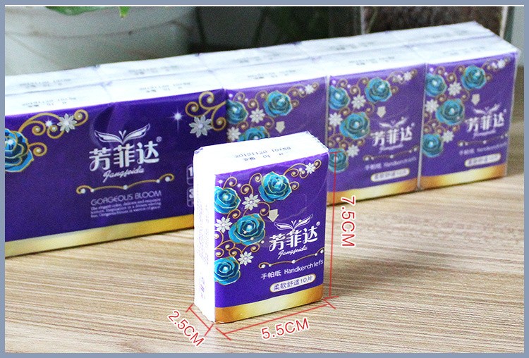 Pocket Tissue3-06