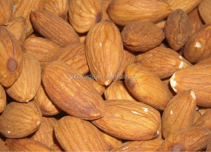 Bitter Apricot Kernel /Bitter Apricot Seed/Chinese Raw bitter Almond