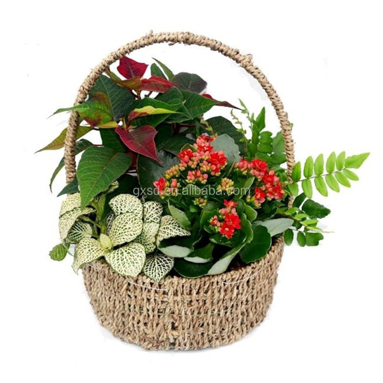 seagrass planter - seagrass basket 01.jpg