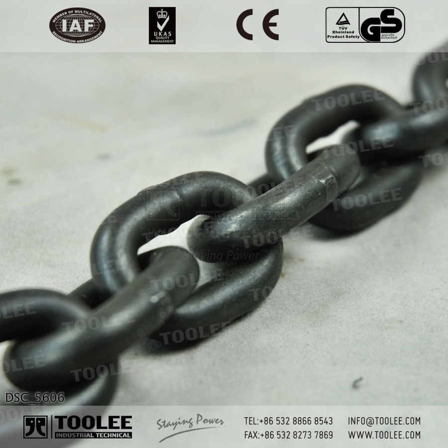 1001-g80 alloy steel lifting sling chain