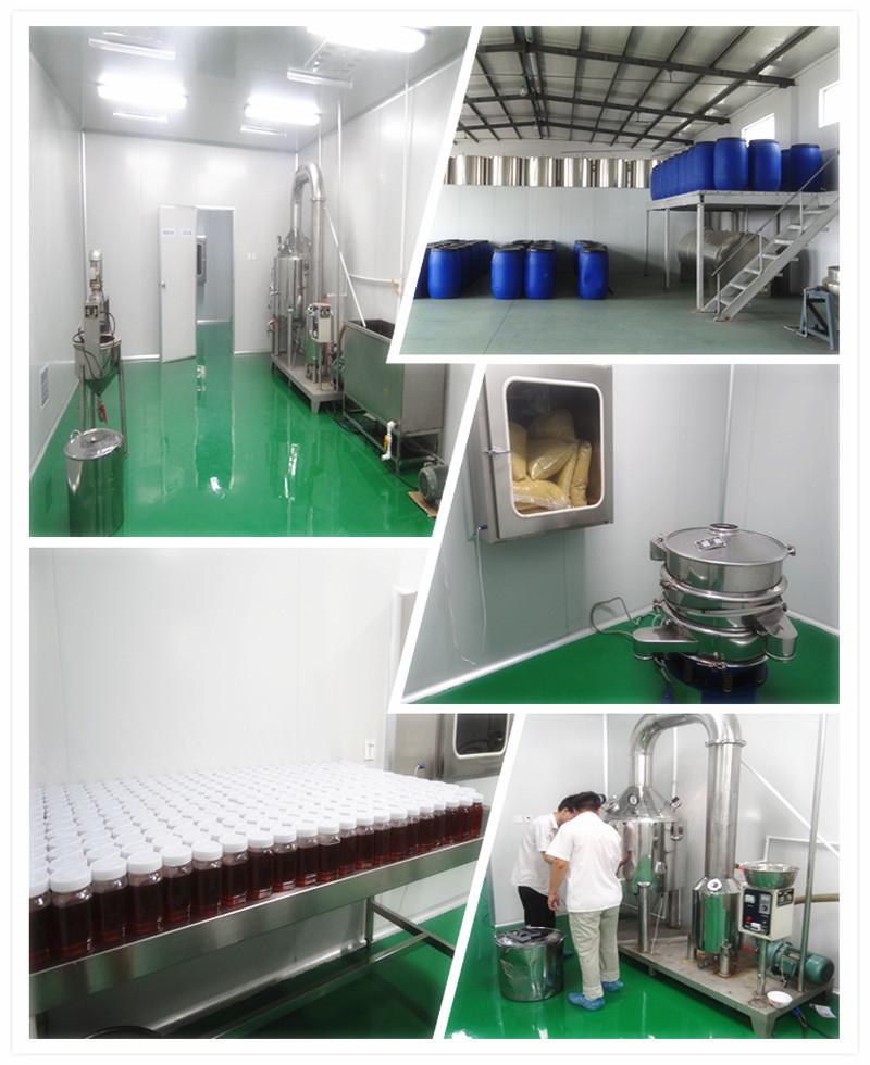 The high extract royal jelly factory lyophilizer price with best quality