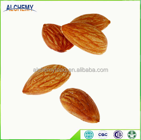 American almond / almond inshell / almond iran / bitter almond kernel,China Alchemy price