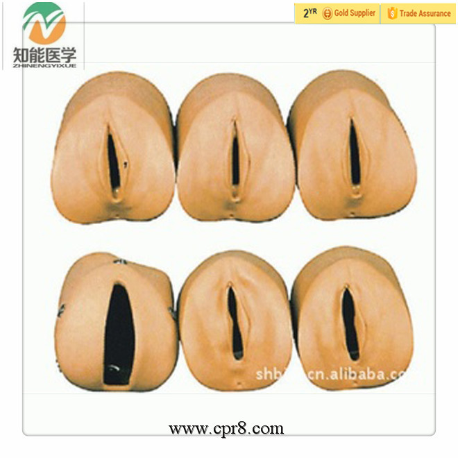 BIX-F9 Prenatal cervical changing and relationship of the birth canal model .jpg