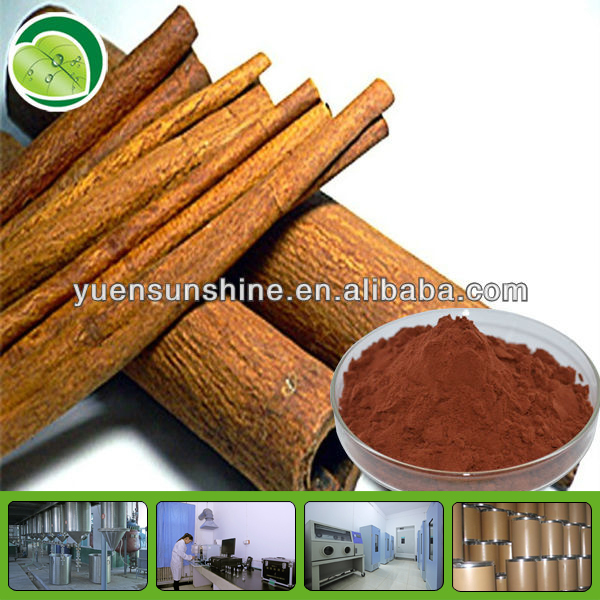 cinnamon polyphenol chinese herbal plant extract ceylon cinnamon powder