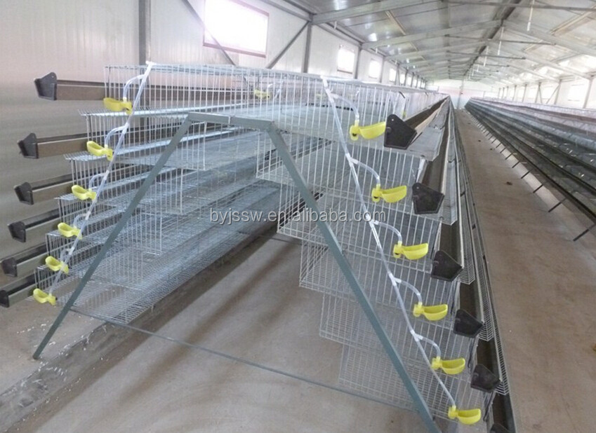 quail cage-111.jpg