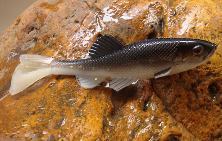 の魚のルアーソフトシリコンモールドの中国語の熱い販売の釣り餌仕入れ・メーカー・工場