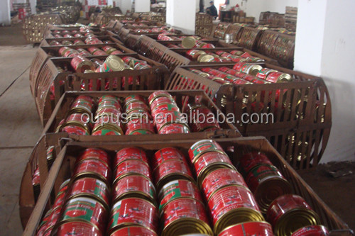 In Drum In Canned Tomato paste
