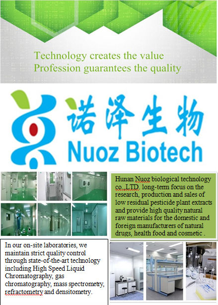 Ginseng Extract/stem and leaf extract 2014/ginseng powder