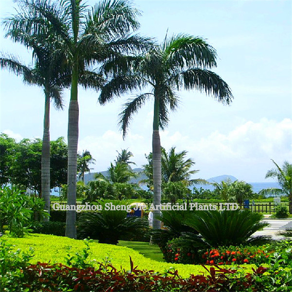 9m afforest tree factory price playground/park/beach indoor&outdoor festival decoration fiberglass artificial king coconut tree