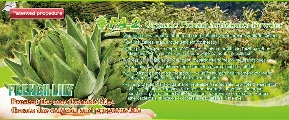 PA2-Artichoke.jpg