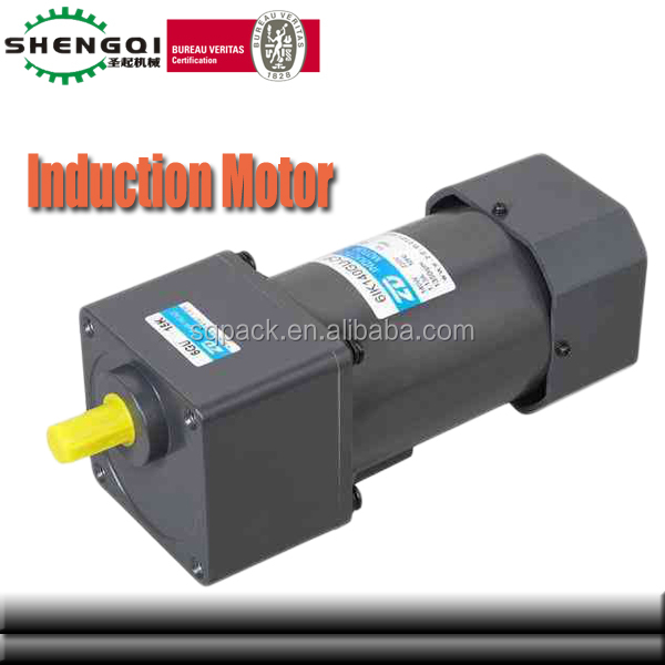 Induction Motor-120w.jpg