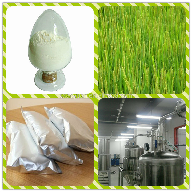 Top Quality Soybean Extract Soy Isoflavone